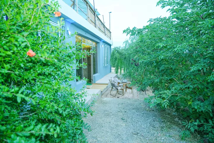 L'allée qui mène à la maison, entre les arbres.